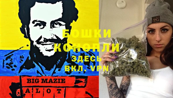 apvp Алзамай